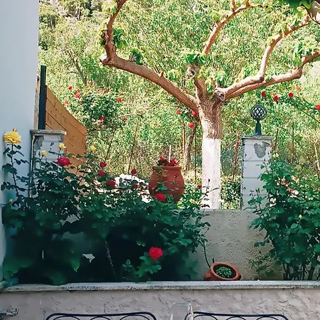 Rose Hedge Holiday home Aidonochori (Crete)