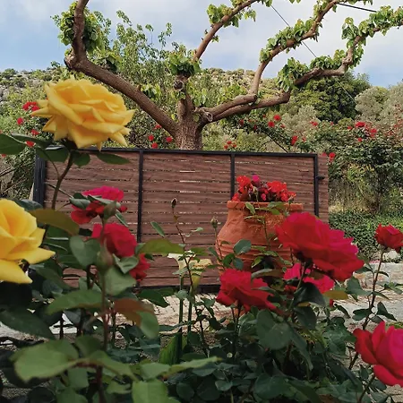 Holiday home Rose Hedge Aidonochori (Crete)